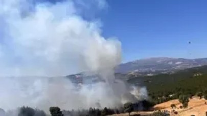 Kütahya'da orman yangını