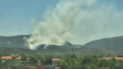 Yangınlar bu defa Selçuk'a sıçradı yangına karadan müdahale