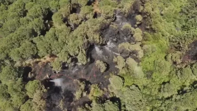Sultangazi Kent Ormanı'nda yangın