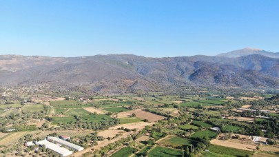 3 gündür devam eden orman yangını sonrası Ödemiş'in dağları siyaha büründü