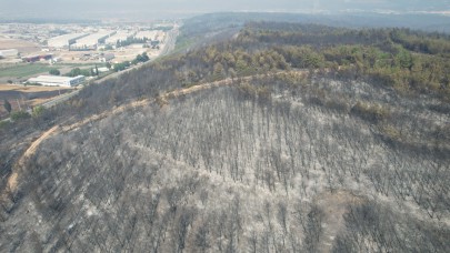 Buca'daki yangının tahribatı havadan görüntülendi