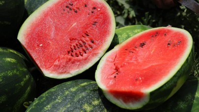 Tarladaki karpuz için öneri: "Belediyeler hasat edip ücretsiz dağıtsın"