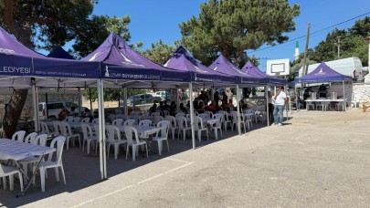 Büyükşehir yangının yaralarını sarmak için tüm gücüyle sahada