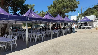Büyükşehir yangının yaralarını sarmak için tüm gücüyle sahada