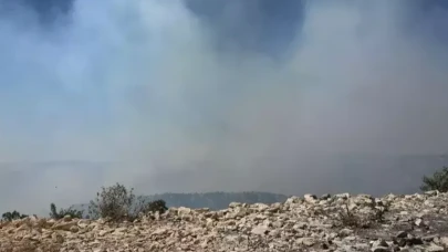 Gabar Dağı’nda orman yangını