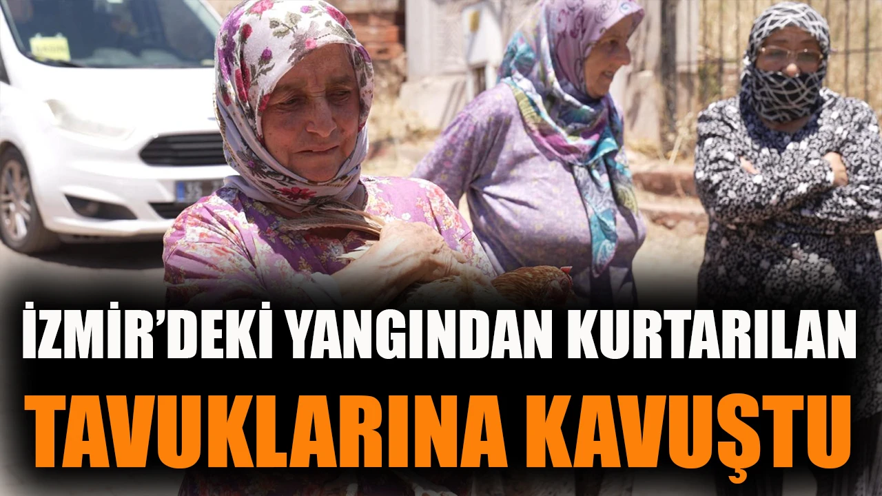 İzmir’deki yangından kurtarılan tavuklarına kavuştu