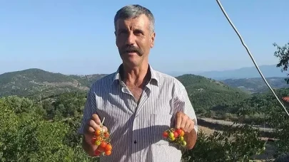 Ailesiyle gittiği piknikte kayboldu