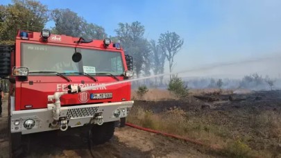 Almanya'nın üç eyaletinde orman yangını