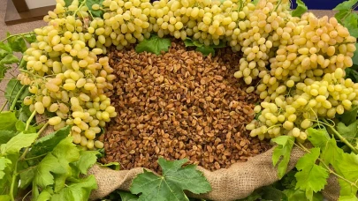 Kuru meyve sektöründe 12 ihracat şampiyonunun 11’i Egeli