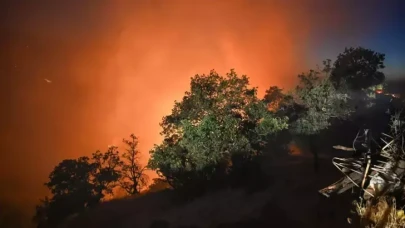 Uşak'ta orman yangını; bir çiftlik tahliye edildi