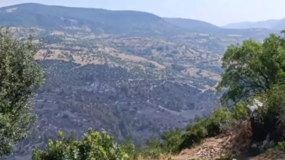 Balıkesir'deki orman yangını kontrol altında