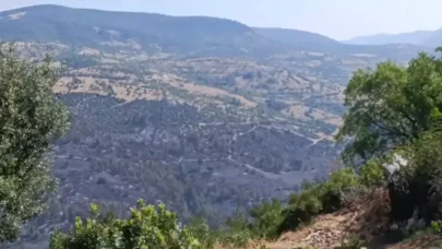 Balıkesir'deki orman yangını kontrol altında