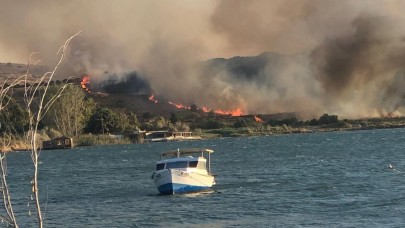 Aliağa’da otluk alanda yangın