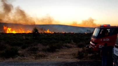 Aliağa’da otluk alandaki yangın kontrol altına alındı