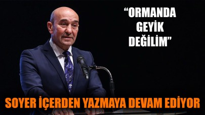 Soyer içerden yazmaya devam ediyor