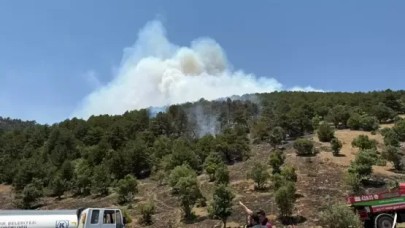 Konya'da orman yangını