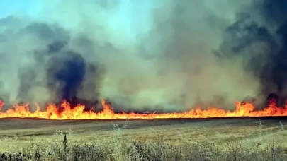 Edirne'de anız yangını; kara yolu kapatıldı