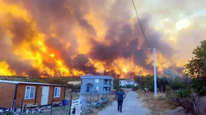 Tekirdağ'da orman yangını; alevler Çanakkale sınırına geçti
