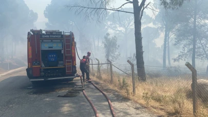 Anız yangını ormana sıçradı, 16 hektar kül oldu