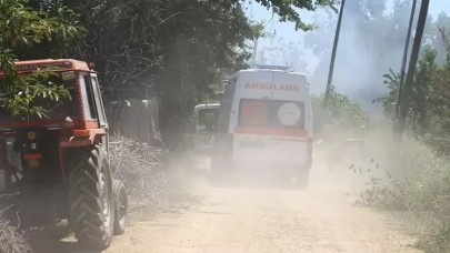 Yangında tonlarca buğday yandı, 7 büyükbaş öldü