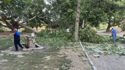 Ağacın kırılan dalı, piknik yapanların üzerine düştü: 11 yaralı