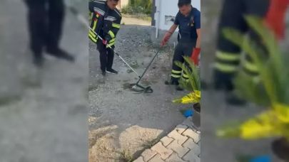 İtfaiye eri, yakaladığı yılana su içirdi