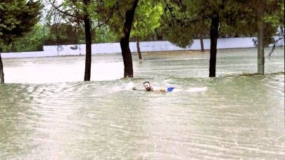 Bulvarda yüzüp sıra dışı bir tepkiye imza attı
