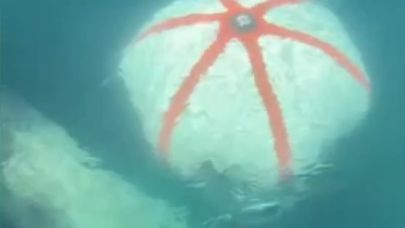 İzmir Karaburun'da balıkçı ağına denizaltı torpidosu takıldı