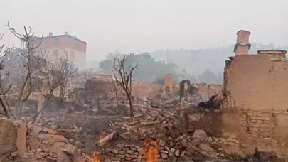 Sakarya'da orman yangını 2'nci gününde