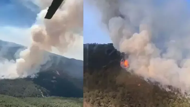 Eskişehir’de orman yangını