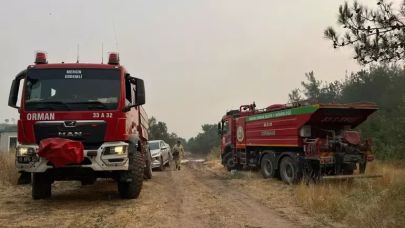 Sakarya'daki orman yangını 3'üncü gününde