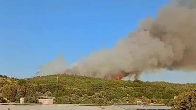 İzmir’de ormanlık alanda yangın