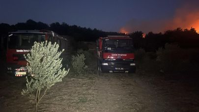 Urla’da yangın kontrol altına alındı