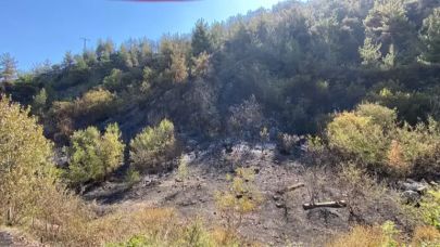 Karabük'te orman yangınına müdahale sürüyor