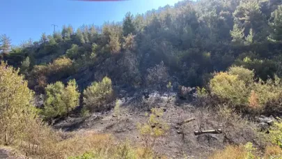 Karabük'te orman yangınına müdahale sürüyor