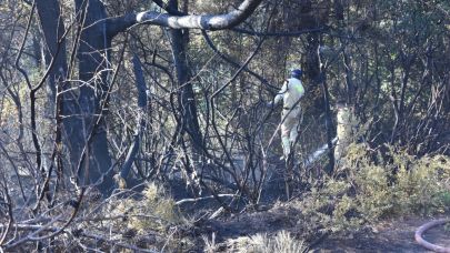 Tırdan ormanlık alana sıçrayan yangın kontrol altında