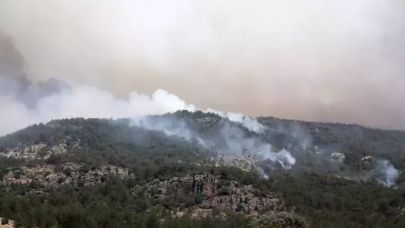Eskişehir'de çıkan orman yangını, 3'üncü günde Afyonkarahisar'da sürüyor