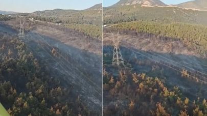 Manisa'daki orman yangını 2'nci gününde