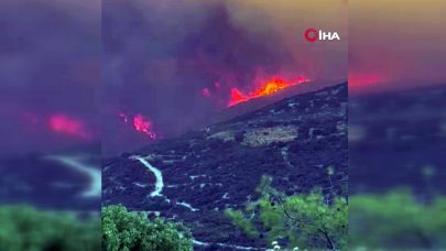 Güney Kıbrıs'taki orman yangınında ölü sayısı 2'ye yükseldi