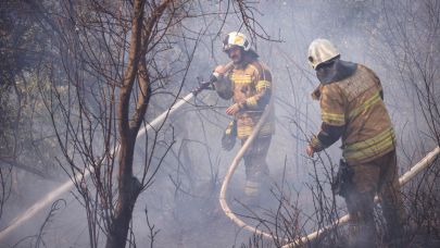 İZPA İzmir’in orman yangını risk haritasını oluşturdu