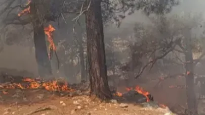 Adana'da orman yangını
