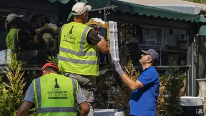 Zabıta ve esnaf el ele verdi, yeşile geri dönüş başladı