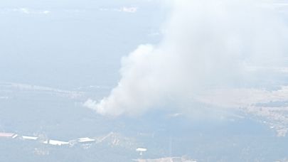 Bornova’da orman yangını