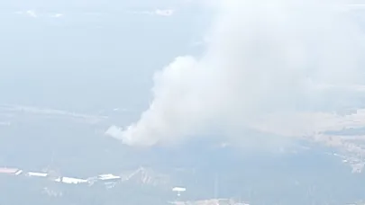 Bornova’da orman yangını