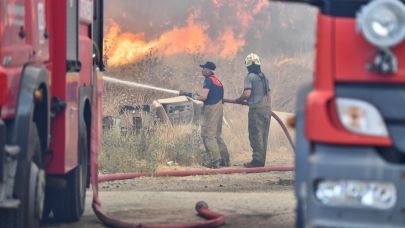Bornova’da orman yangınını söndürme çalışmaları devam ediyor