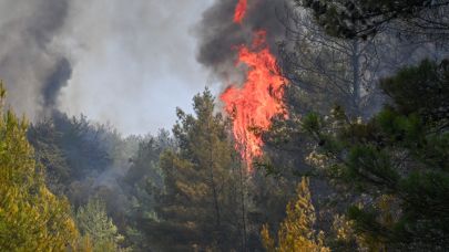 Bornova Belediyesi Gökdere’de 200 personelle seferber oldu