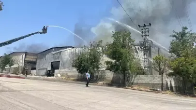 Gaziantep'te halı fabrikasında yangın