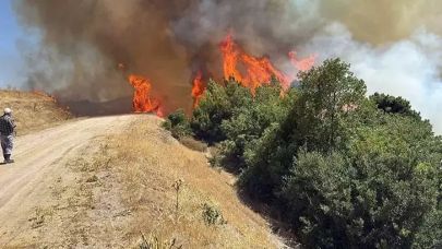 Manisa'da tarım arazisinde yangın