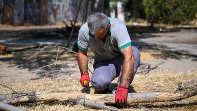 166 yıllık Paterson Köşkü çevresindeki atıl alan temizlendi