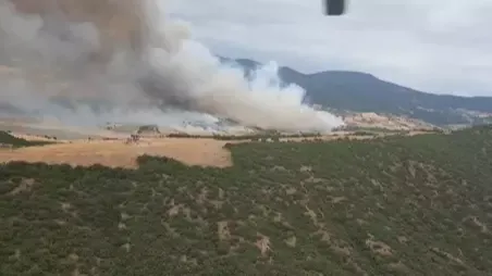 Bursa'da orman yangını